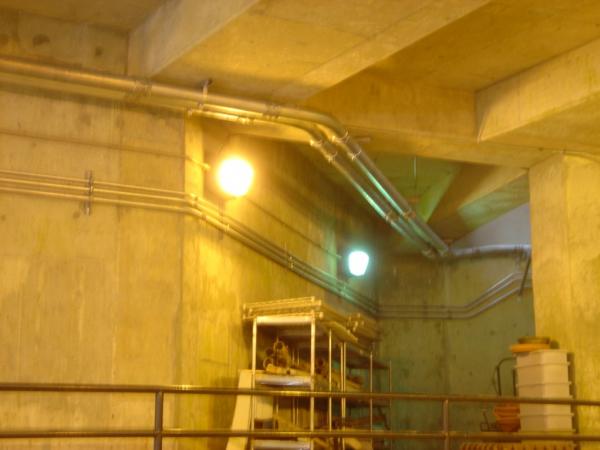 intpathway027.jpg