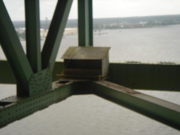 outcabling045.jpg